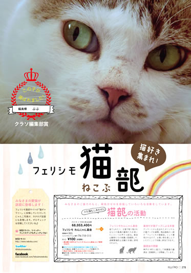 kraso春夏号 猫部ページの扉写真 結果発表！│フェリシモ猫部